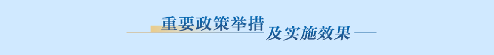 重要政策舉措及實施效果